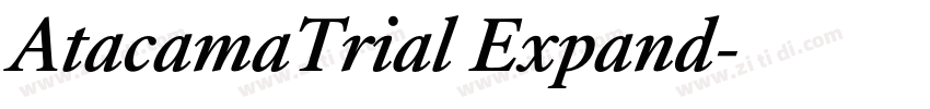 AtacamaTrial Expand字体转换
